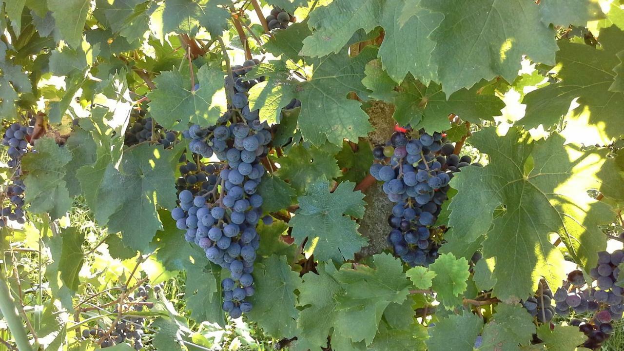 Fogliano Redipúglia Agriturismo Le Giarine المظهر الخارجي الصورة