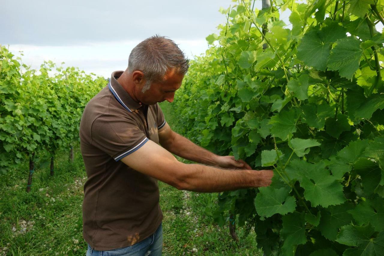 Fogliano Redipúglia Agriturismo Le Giarine المظهر الخارجي الصورة